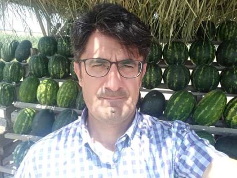Avqust da gəldi, qarpız-yemiş ucuzlaşmadı - EKSPERT: “Bir az da gözləyək”  