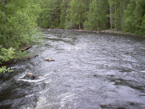 Nazirlik Zaqatala və Balakəndə daşqınlarla bağlı məlumat yaydı