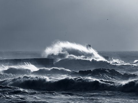 Qasırğaya görə 53 min insan təxliyyə edildi