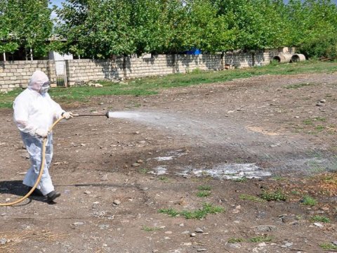 Diri heyvan satılan yerlərdə dezinfeksiya işləri başa çatıb