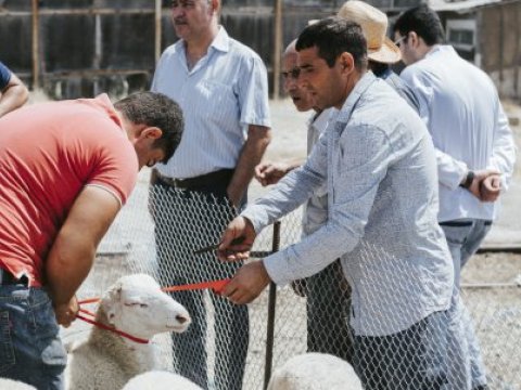 Yarmarkalar bu gündən fəaliyyətə başlayır