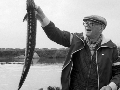 Bakının məşhur qonaqları - Finlandiya prezidentini ölkəmizə gətirən səbəb, Moskvadan verilən “məxfi tapşırıq” - VİDEO 