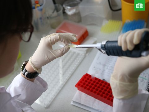 Dünyanın QİÇS problemi, 50 milyona yaxın ölüm - Dəhşətli MƏNZƏRƏ 