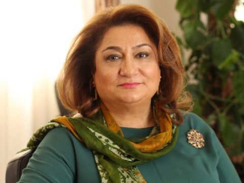 29 uşaq, 98 qadın, 112 qoca girovluqdadır – Komitə sədri