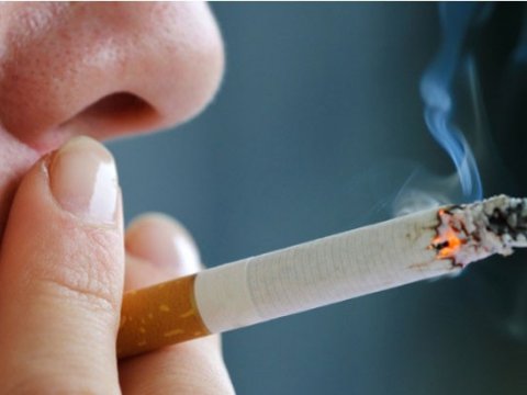 Qanun qəbul edildi - Siqaret kötüyünü yerə atanlara 50 manat cərimə kəsiləcək