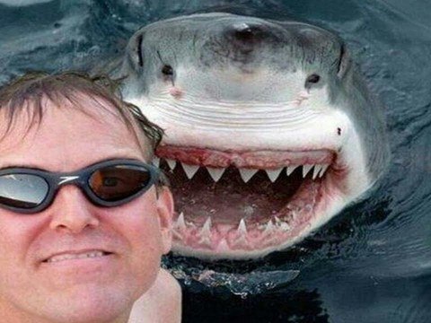 Selfi zamanı &ouml;l&uuml;mlər ən &ccedil;ox bu &ouml;lkələrdə qeydə alınıb &nbsp;