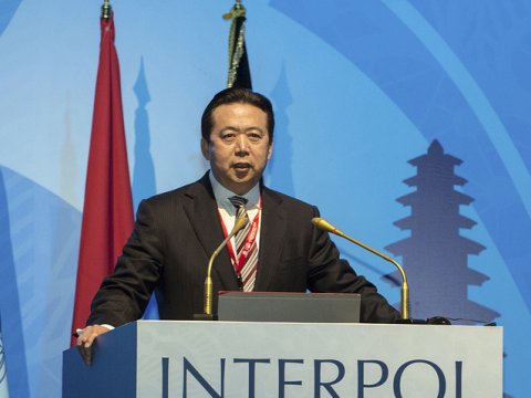 İnterpolun itkin rəhbəri tapıldı - YENİLƏNİB