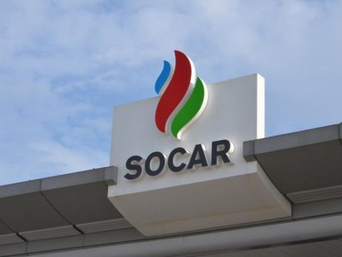 SOCAR həşəratla bağlı araşdırmaya BAŞLADI