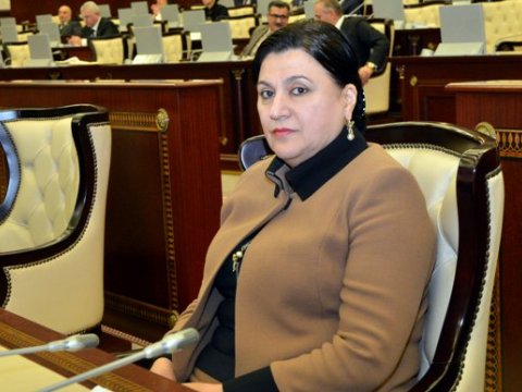 Xanım deputat məktəblərdəki rus sektorlarına qarşı çıxdı