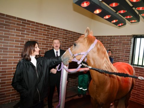 Prezident və birinci xanım Qarabağ Atçılıq Kompleksində... - FOTOLAR