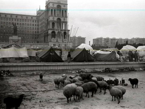 Bir şəklin tarixçəsi: Azadlıq meydanı, insanlar, çadırlar və qoyunlar...   