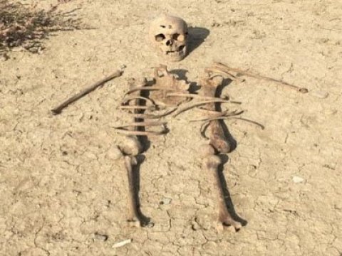 Müşfiqə məxsus olduğu qeyilən qalıqlar araşdırılır - Akademik: “İşçi qrupun üzvləri yenidən toplaşacaq”