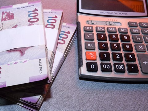 Əhalinin banka borcları hansı formada silinə bilər...