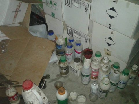 Şəmkirdə qanunsuz satılan bitki m&uuml;hafizə vasitələri və tərəvəz toxumları aşkarlandı
