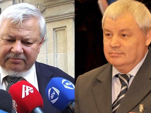 Azərbaycandakı OXŞARLAR - Onlar sizi də çaşdıra bilərlər? - FOTO   