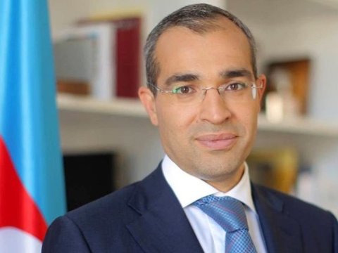 “Onlar da məntiqlə ailə üzvü hesab olunur” – Vergilər naziri