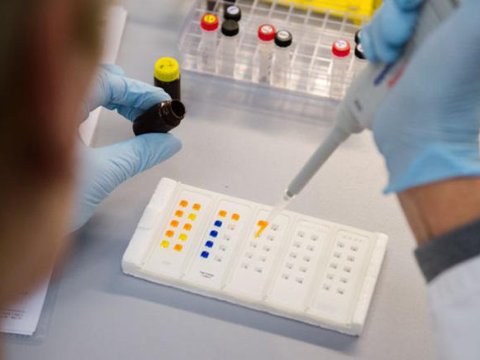 Azərbaycanda ən çox dopinq testi güləşdə aparılıb