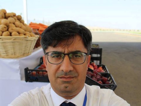 “Rusiyada pomidor, nar, xiyar, xurma və armuda böyük tələbat var” - Sahibkarlara TÖVSİYƏ