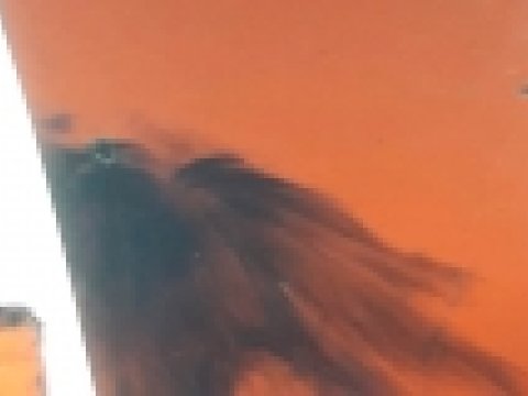 Sərhəd qoşunlarımızla Ermənistan ordusu arasında atışma - Ekskavatora güllə dəydi