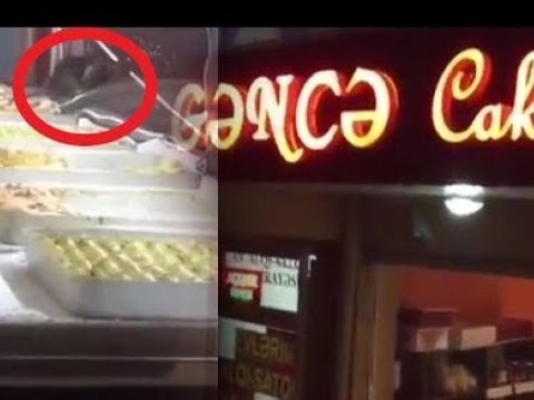 Piştaxtasında siçan gəzən “Gəncə Cake House”ın fəaliyyəti DAYANDIRILDI