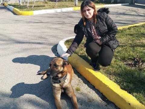 Oyuncağını udub mədəsində əridən, 5 dildə anlayan “ağıllı itlər” - Kinoloji Mərkəzdən REPORTAJ