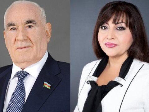 Milli Məclisin komissiyasına sədr və katib seçildi