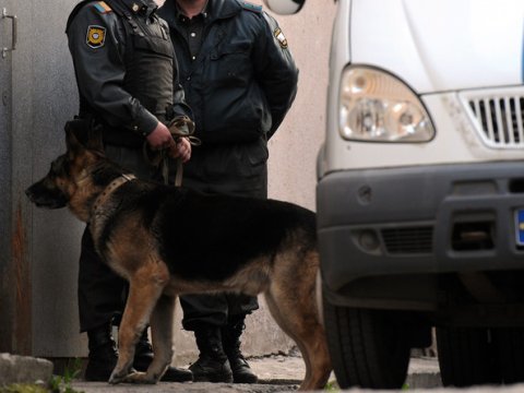 Moskvada azərbaycanlıların ən çox çalışdığı bazarda axtarışlar aparılır
