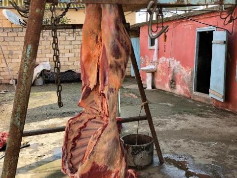 150 kiloqram yararsız ət aşkarlandı