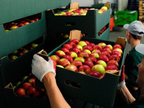 Şəmkirli iş adamlarının Rusiyadakı uğur hekayəsi - “Meyvə-tərəvəz ticarəti əsas peşəmizdir”