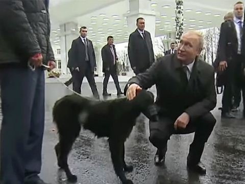 Putinə at və küçük hədiyyə etdilər