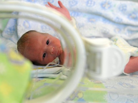 10 milyonuncu sakinin şərəfinə böyük tədbir keçiriləcək