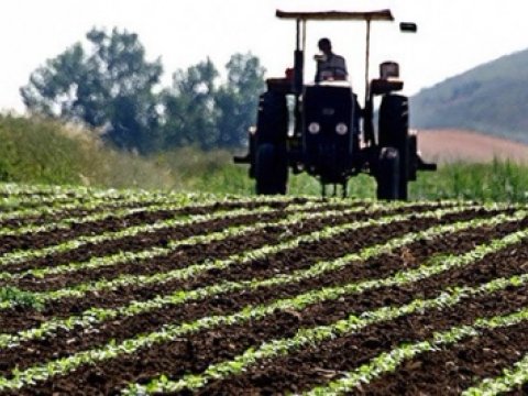 15 rayonda 29001 hektarda pambıq əkiləcək
