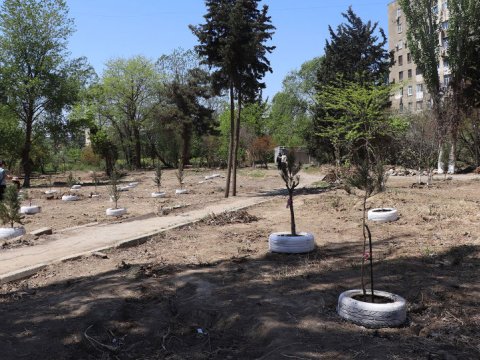 Xətaidəki ağac QALMAQALI - Həmin sahibkar danışdı: “Ay Hacıbala, sənə 1000 manat verdim, sonra 5000 manat istədin”