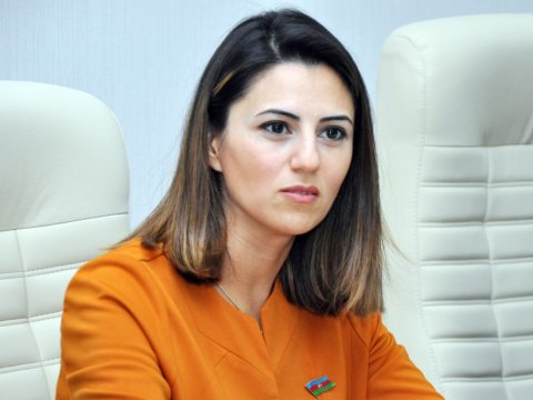 Deputat: “Cinsi istismara yalnız təcavüz deyil, intim söhbətlər, yazışmalar da daxildir”  