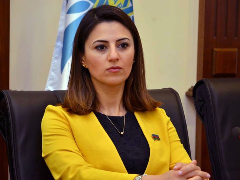 “Azərbaycana qarşı təzyiq mexanizmi işə salmağa  çalışırlar”- Sevinc Fətəliyeva