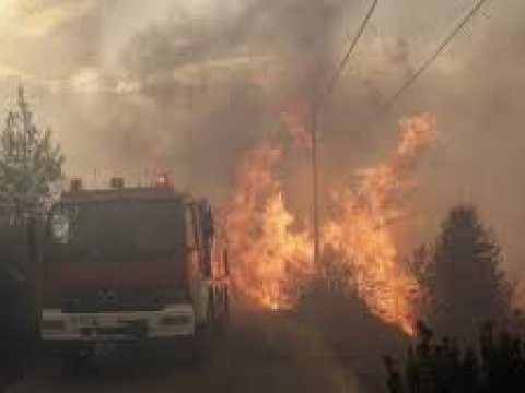 İstanbulda meşə yanğınları