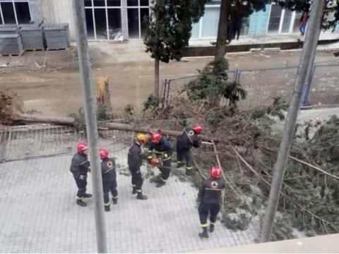 Gürcüstanda bayram tədbiri dağıldı - SƏBƏB
