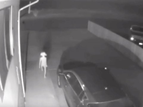 Qeyri-adi məxluqu görüb dəhşətə gəldi - Video