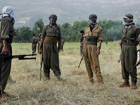 Başına 4  milyon qoyulan PKK terrorçusu məhv edildi