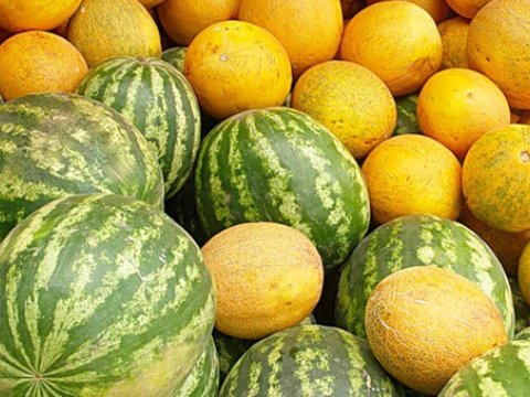 Qarpız-yemiş almaq təhlükəlidir! - XƏBƏRDARLIQ 