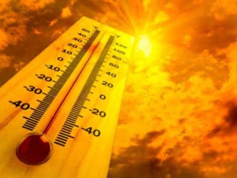 İstidən 92 nəfər öldü