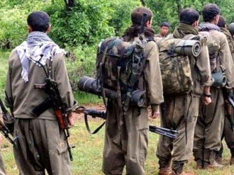 Türkiyədə 8 PKK-çı zərərsizləşdirildi