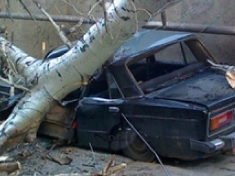 Bakıda külək ağacları aşırdı - İki maşına zərər dəydi  