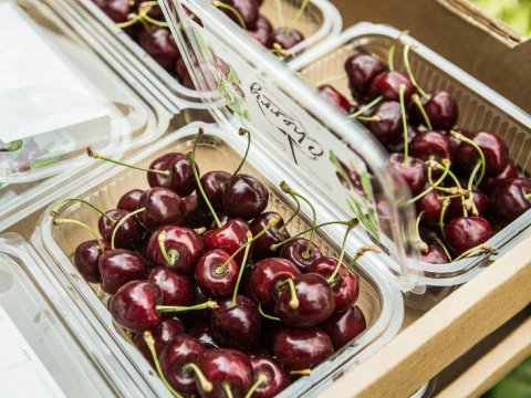 Azərbaycan gilası Afrikaya DAŞINIR - VİDEO