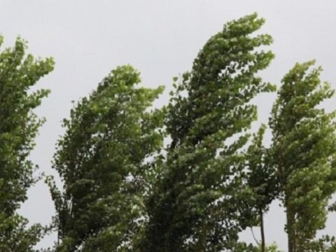 İyulun 15-dək ölkədə sərin hava hökm sürəcək - AÇIQLAMA