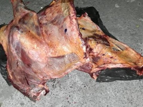 Bakıya gətirilən 198 kiloqram yararsız ət aşkarlandı - FOTOLAR