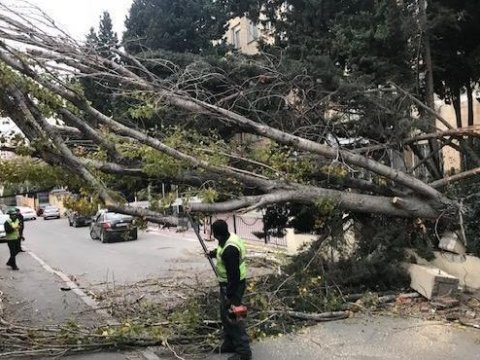Bakını cənginə alan küləklər: “...Metereoloji silahlardan istifadə edilir” - AÇIQLAMA