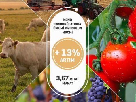 6 ayda Azərbaycanın kənd təsərrüfatında 13% artım olub