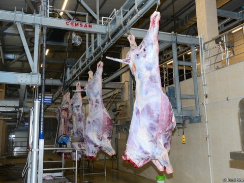 Qurban ətləri pulsuz müayinə olunacaq 