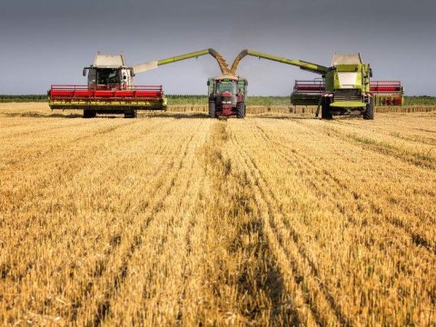 Azərbaycanın idxaldan ən asılı olduğu sahə... – Ekspert rəsmi statistikaya inanmır: “Şişirdilib”